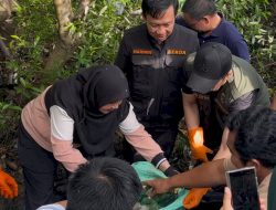 Sekdaprov Marindo dan Bunda Eva Pimpin Aksi Bersih-Bersih Pulau Pasaran