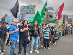 Pembangunan Tower, Jalan Beton, dan Land Clearing di TNWK Dipersoalkan! Merusak Ekosistem Serta Mengancam Satwa