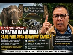 Alzier Dianis Geram, Kematian Gajah Indra Sang Pahlawan Hutan Way Kambas