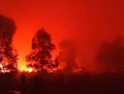 Kemenhut Ungkap Sulitnya Padamkan Kebakaran di TN Way Kambas, Lahan Gambut Jadi Tantangan